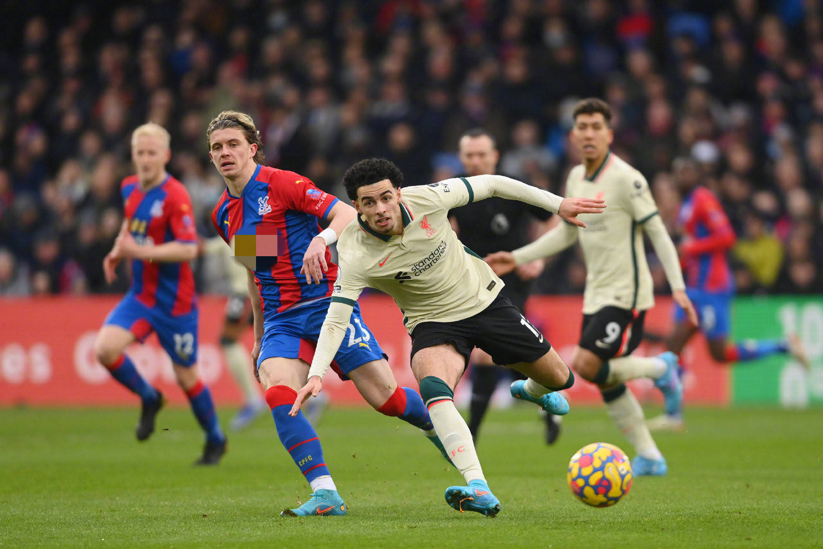 迅速登上了 迅速登上了